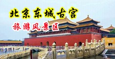 淫水网址中国北京-东城古宫旅游风景区